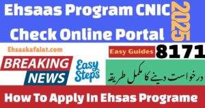 8171 Ehsaas Program CNIC Check Online Portal