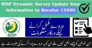 BISP Dynamic Survey Update Your Information to Receive 13500